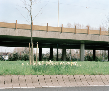 838599 Gezicht op het viaduct in de Waterlinieweg bij 't Goyplein te Utrecht. Op de voorgrond bloeiende narcissen.